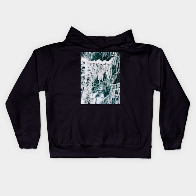 Wintertime - Closeup of Frost on Moss Hanging From Fir Tree Kids Hoodie by visualspectrum